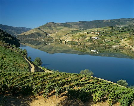 rivière douro - Vin des vignobles dans la région du Douro, l'origine du monde célèbre Port. A UNESCO World Heritage Site, Portugal Photographie de stock - Rights-Managed, Code: 862-03889303