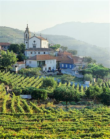 portuguese farm - Vineyards at the little village of Sao Miguel de Lobrigos, on the world famous Port wine Douro region, a UNESCO World Heritage Site, Portugal Stock Photo - Rights-Managed, Code: 862-03889313