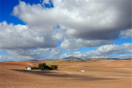 Spanish farm near Jaen. Andalucia, Spain Stock Photo - Rights-Managed, Code: 862-03889618