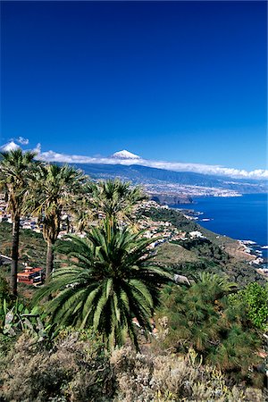 simsearch:862-03889731,k - Teide, Orotava Valley, Tenerife, Canary Islands, Spain Stock Photo - Rights-Managed, Code: 862-03889741