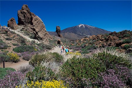 Los Roques and Mount Teide, Tenerife, Canary Islands, Spain Foto de stock - Con derechos protegidos, Código: 862-03889750