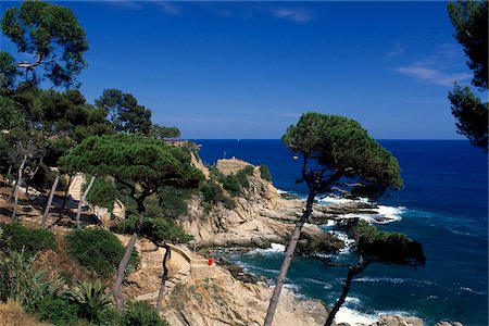 simsearch:862-03889800,k - Lloret de Mar, Costa Brava, Catalonia, Spain Stock Photo - Rights-Managed, Code: 862-03889763