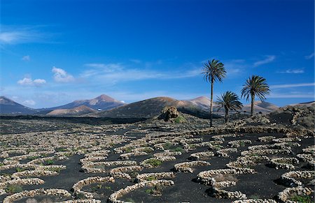 Paysage à proximité Uga, Lanzarote, îles Canaries, Espagne Photographie de stock - Rights-Managed, Code: 862-03889796
