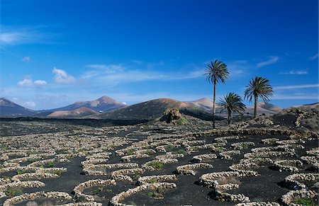 Landscape nearby Uga, Lanzarote, Canary Islands, Spain Foto de stock - Con derechos protegidos, Código: 862-03889796