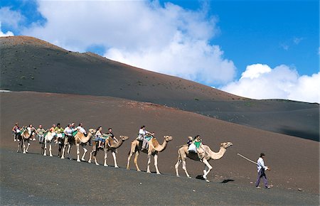 Tour de chameau dans le Parc National de Timanfaya, Lanzarote, îles Canaries, Photographie de stock - Rights-Managed, Code: 862-03889797