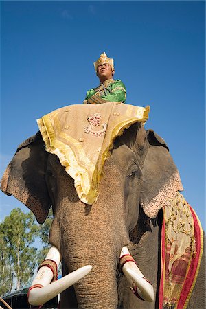 elephant festival - Thailand, Surin, Surin.  Suai mahout and his elephant in costume dress during the Surin Elephant Roundup festival.  The event held in November sees hundreds of elephants involved in a celebration of the region's elephant history and traditions. Stock Photo - Rights-Managed, Code: 862-03889847