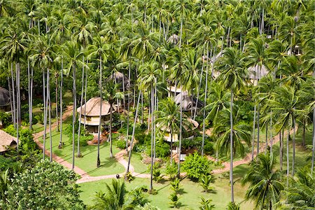 Thailand, Krabi, Railay.  Beach villas amdist coconut palms at Hat Rai Leh East (East Railay Beach). Stock Photo - Rights-Managed, Code: 862-03889878