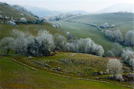 season (division of year) - Europe, France, Aveyron, landscape rougier Camares. Stock Photo - Rights-Managed, Code: 877-08079154