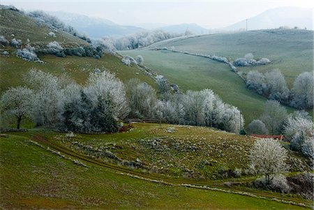 seasons photographs - Europe, France, Aveyron, landscape rougier Camares. Foto de stock - Con derechos protegidos, Código: 877-08079154