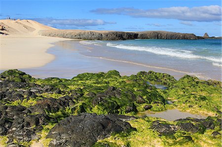 Cabo Verde, Boa Vista island. Praia de Cruz. Photographie de stock - Rights-Managed, Code: 877-08127979