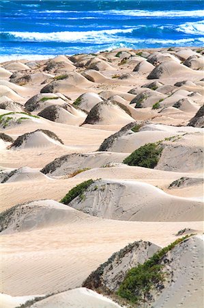 Cabo Verde, Boa Vista island. Natural park Boa Espenrança. Foto de stock - Con derechos protegidos, Código: 877-08127991