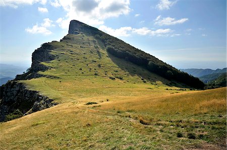 simsearch:6108-08841869,k - France, Rhone-Alpes, Provencal Drome, Pas de Siara in forest of Saou, landscape. Fotografie stock - Rights-Managed, Codice: 877-08128144