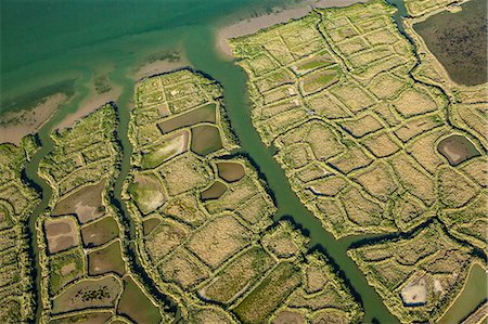 France, Western France, Charente-Maritime, Poitou-Charente, near Mornac sur Seudre, salt marsh, aerial view Stock Photo - Rights-Managed, Code: 877-08128162