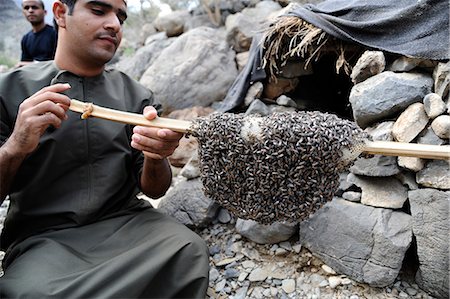 Sultanate of Oman, an arabic man is holding a swarm of wild bees on a stick Stock Photo - Rights-Managed, Code: 877-08128192