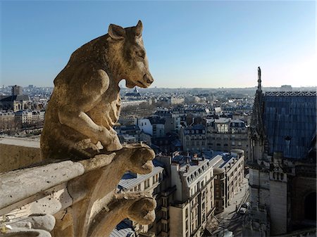 roof in paris - France, Paris, Notre-Dame's gargoyles Stock Photo - Rights-Managed, Code: 877-08128348