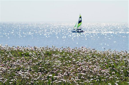 simsearch:6108-08637221,k - France, Western France, Bourgneuf bay, Moutiers-en-Retz, sailing ship Stock Photo - Rights-Managed, Code: 877-08128735