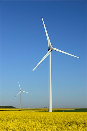 simsearch:877-08129080,k - Wind-powered near Pussay, Beauce, France Fotografie stock - Rights-Managed, Codice: 877-08128805