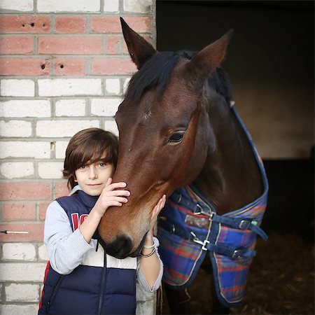 fur (animal hair) - A boy stroking a horse in a stable Photographie de stock - Rights-Managed, Code: 877-08128951