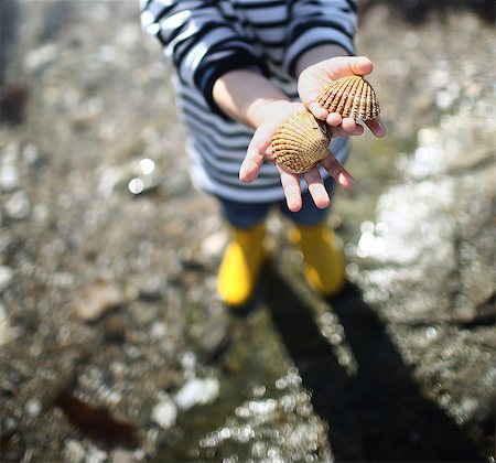 3 years old boy looking for sea shells on the beach Stockbilder - Lizenzpflichtiges, Bildnummer: 877-08129107