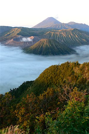 Mount Bromo volcanoes in Tengger Caldera, East Java, Java island, Indonesia, South East Asia Foto de stock - Con derechos protegidos, Código: 877-08129591