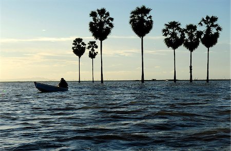 simsearch:877-08897951,k - Tempe lake in Sulawesi island, Indonesia,South East Asia Foto de stock - Con derechos protegidos, Código: 877-08129609