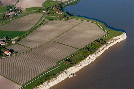 simsearch:877-08129071,k - France, La Roche de Caillaud, vineyard, square fishing nets Stock Photo - Rights-Managed, Code: 877-08897841