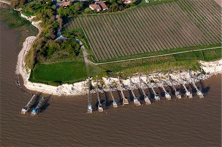 simsearch:877-08129071,k - France, La Roche de Caillaud, vineyard, square fishing nets Stock Photo - Rights-Managed, Code: 877-08897842