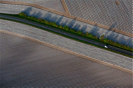 simsearch:877-08129071,k - France, Charente-Maritime (17), Meschers-sur-Gironde, Gironde estuary, cantaloupe farming Stock Photo - Rights-Managed, Code: 877-08897851