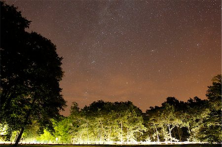 France, Burgundy. Yonne. Area of Saint Fargeau and Boutissaint. Lake of the Bumblebee. Starry sky. Photographie de stock - Rights-Managed, Code: 877-08898428
