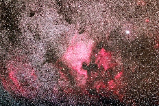 France, Marne. Area of Esternay. Constellation of the Swan. Nebula North America. The brilliant star is Deneb. Photographie de stock - Premium Droits Gérés, Artiste: Photononstop, Le code de l’image : 877-08898489