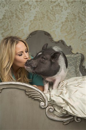 A pot bellied pig lying on a large bed with carved headboard with the owner, a blonde haired woman kissing her pet on the snout. Fotografie stock - Rights-Managed, Codice: 878-07442439