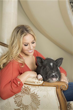 A miniature pot bellied pig sitting on his haunches on the lap of a blonde haired woman, sharing an antique armchair with thick cushions, in a large elegantly furnished mansion in Texas. Stock Photo - Rights-Managed, Code: 878-07442433