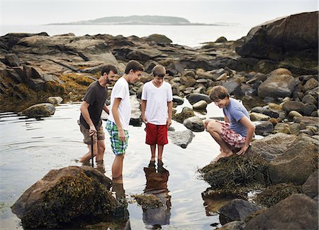 pozza di marea - A small group of people standing in shallow water, rock pooling, finding marine life on the beach. Fotografie stock - Rights-Managed, Codice: 878-07442507