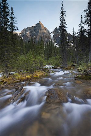 Stream in the Valley of the Ten Peaks, Banff National Park, Alberta, Canada Foto de stock - Direito Controlado, Número: 878-07442694