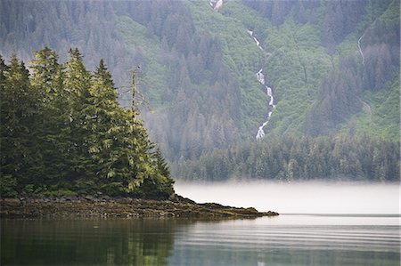 Bald eagle and waterfall, Glacier Bay National Park and Preserve, Alaska Foto de stock - Con derechos protegidos, Código: 878-07442698