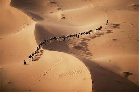 The setting sun over the desert makes a enchanting shadow as a caravan of camel merchants winds their way toward the next stop on their journey. Foto de stock - Con derechos protegidos, Código: 878-07442717