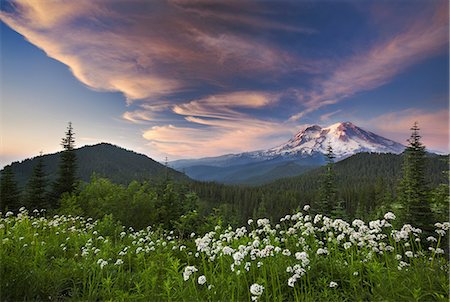 Mount Rainier, a snow capped peak, surrounded by forest reflected in the lake surface in the Mount Rainier National Park. Sunset. Cloud formations. Photographie de stock - Rights-Managed, Code: 878-07442732