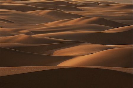 simsearch:878-07590773,k - Late afternoon light on the sand dunes stretching the entire length of Namibia's coast in a band up to 185 miles wide. Dunes sometimes reach 1,000 ft. Photographie de stock - Rights-Managed, Code: 878-07442744