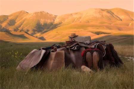 simsearch:6129-09057574,k - Europe,Italy,Umbria,Perugia district, Castelluccio di Norcia Sibillini Ranch Photographie de stock - Rights-Managed, Code: 879-09020697
