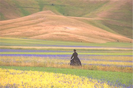 simsearch:879-09020722,k - Europe,Italy,Umbria,Perugia district,Sibillini National park. Flowering of the lentil fields of Castelluccio of Norcia Photographie de stock - Rights-Managed, Code: 879-09020719