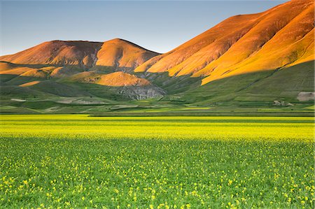 Europe,Italy,Umbria,Perugia district,Sibillini National park. Flowering of the lentil fields of Castelluccio of Norcia Photographie de stock - Rights-Managed, Code: 879-09020712