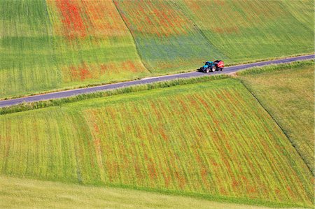 simsearch:6129-09044045,k - Europe,Italy,Umbria,Perugia district,Sibillini National park. Flowering of the lentil fields of Castelluccio of Norcia Photographie de stock - Rights-Managed, Code: 879-09020720