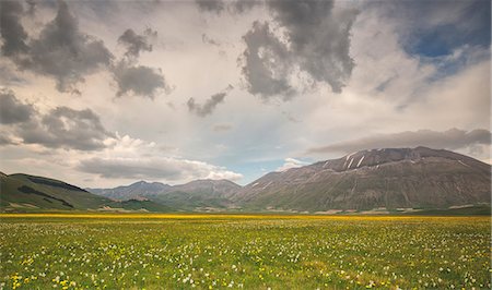 simsearch:6129-09057574,k - Europe,Italy,Umbria,Perugia district,Sibillini National park. Spring flowering Photographie de stock - Rights-Managed, Code: 879-09020722