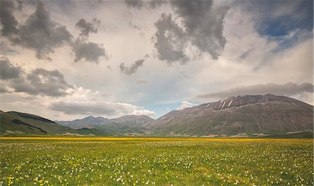 simsearch:879-09020722,k - Europe,Italy,Umbria,Perugia district,Sibillini National park. Spring flowering Photographie de stock - Rights-Managed, Code: 879-09020722