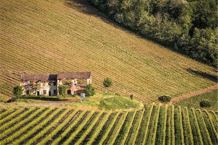 farms - Oltrepo Pavese, Province of Pavia, Lombardy, Italy. Stock Photo - Rights-Managed, Code: 879-09020775