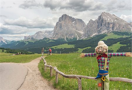 plattkofel - Alpe di Siusi/Seiser Alm, Dolomites, South Tyrol, Italy. View from the Alpe di Siusi to the peaks of Sassolungo/Langkofel and Sassopiatto / Plattkofel Stockbilder - Lizenzpflichtiges, Bildnummer: 879-09020786