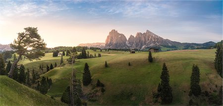 fence with flowers - Alpe di Siusi/Seiser Alm, Dolomites, South Tyrol, Italy. Sunrise on the Alpe di Siusi Stock Photo - Rights-Managed, Code: 879-09020792