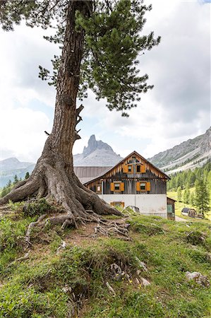 simsearch:879-09020949,k - Croda da Lago Refuge with Mount Becco di Mezzodì in the background,Cortina d'Ampezzo,Belluno district,Veneto,Italy Foto de stock - Con derechos protegidos, Código: 879-09020951