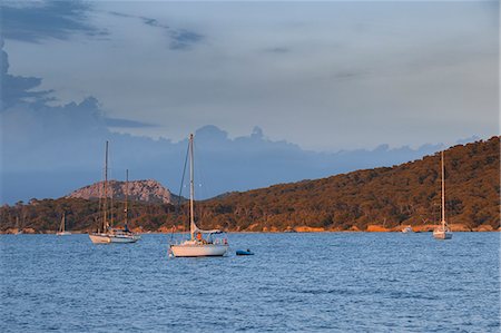 sailboat - Mooring sailboats during the sunset (Ile de Porquerolles, Hyeres, Toulon, Var department, Provence-Alpes-Cote d'Azur region, France, Europe) Stock Photo - Rights-Managed, Code: 879-09021004