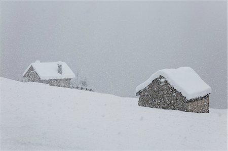 simsearch:879-09021000,k - Winter view of the Alp Ple during a snowfall (Alp Ple, Varzo, Verbano Cusio Ossola province, Piedmont, Italy, Europe) Photographie de stock - Rights-Managed, Code: 879-09021001